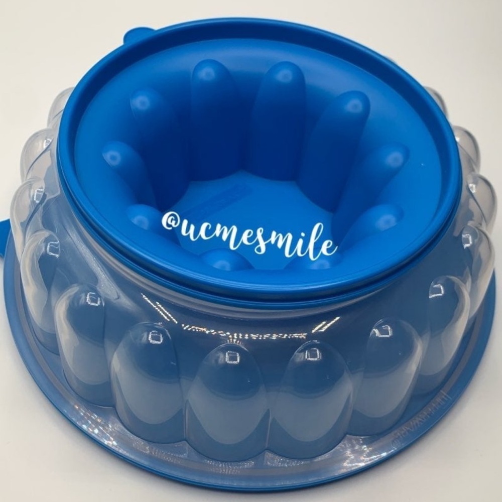 Tupperware Jello Jel-Ring Mold in Blue